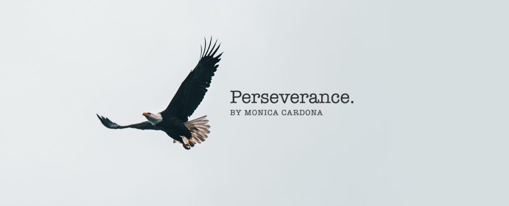 Perseverance